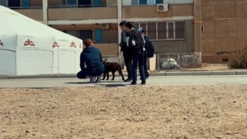  Кадр из видео 