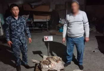 Около 100 кг незаконно выловленной рыбы изъяли у сельчанина в Жетісу