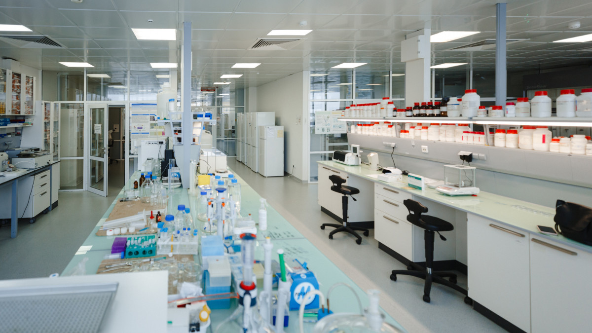  © El.kz / Жалғасбек Тоқтамысов 