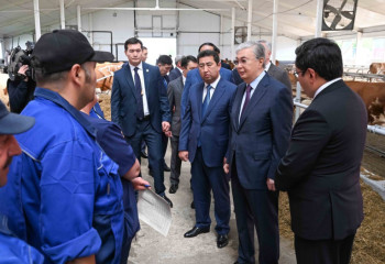 Ел бойынша өз-өзімізді сүт өнімдерімен қамтамасыз етуіміз керек – Тоқаев