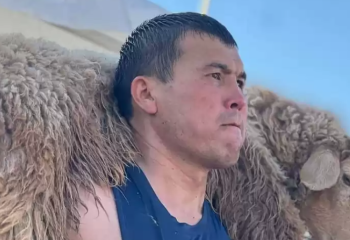 Рекорд: Түркістан облысында ер азамат қошқарды 3555 рет көтерді