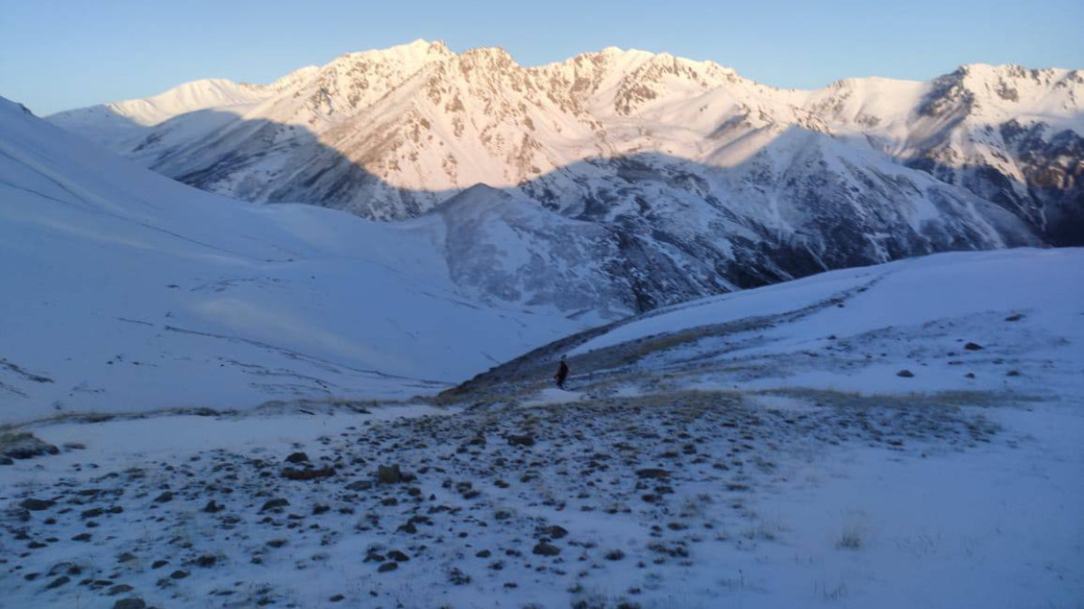 Заблудившегося в горах туриста спасли в Туркестанской области