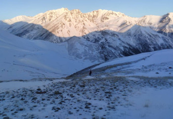Заблудившегося в горах туриста спасли в Туркестанской области