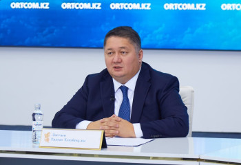 Комитет басшысы әуе билеттерінің бағасы қай жағдайда төмендейтінін айтты