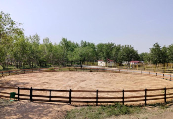 В Карагандинском зоопарке можно будет заниматься иппотерапией