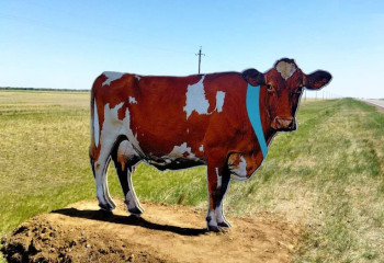 На республиканских трассах устанавливают муляжи домашних животных