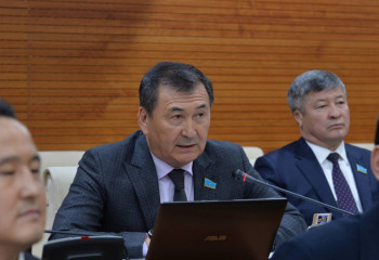 Жайық өзенінің экожүйесін қалпына келтіру керек - депутат