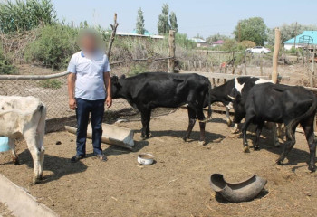 Жители аула помогли кызылординской полиции в поимке скотокрадов