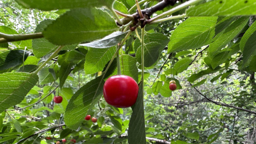  ©El.kz/Марина РУЗМАТОВА 