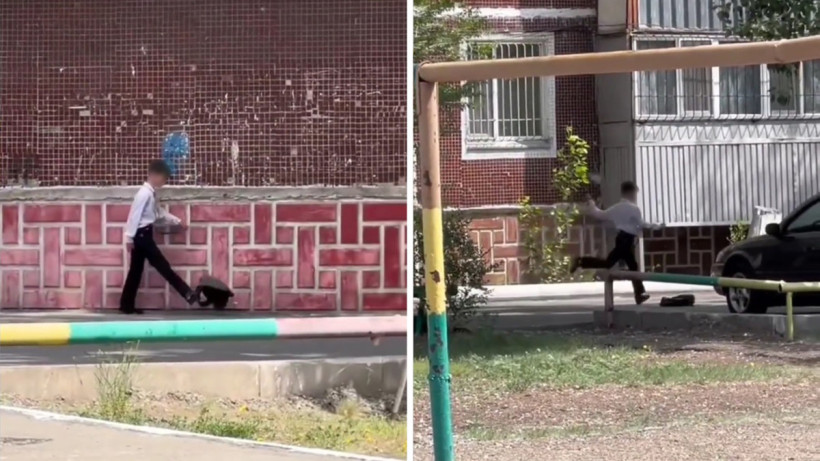  Видеодан кадр 