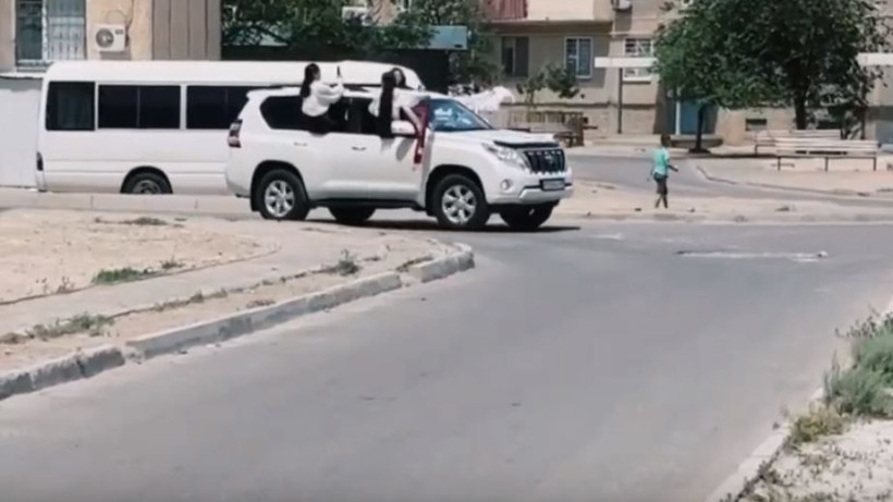  видеодан кадр 