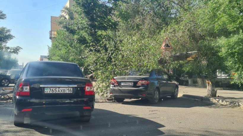  © ДП области Абай 