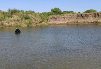 Қарағанды облысында 15 жасар қыз суға батып кетті
