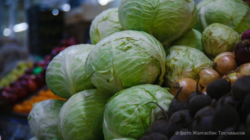  El.kz / Жалғасбек Тоқтамысов 