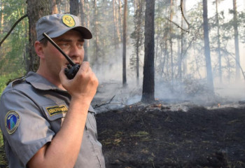 Ақмола облысында орман алқабы өртеніп жатыр