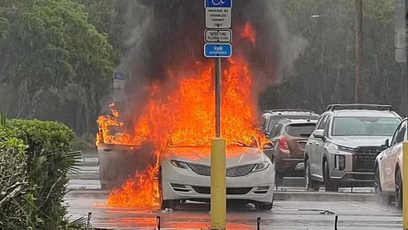  Видеодан алынған кадр 