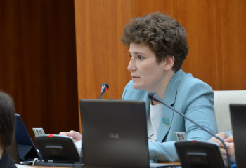 Один ест рис, другой – мясо, в среднем, все едят плов – депутат о доходах казахстанцев