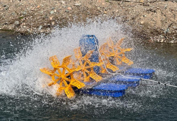 Аквакультуру развивают в Жамбылской области