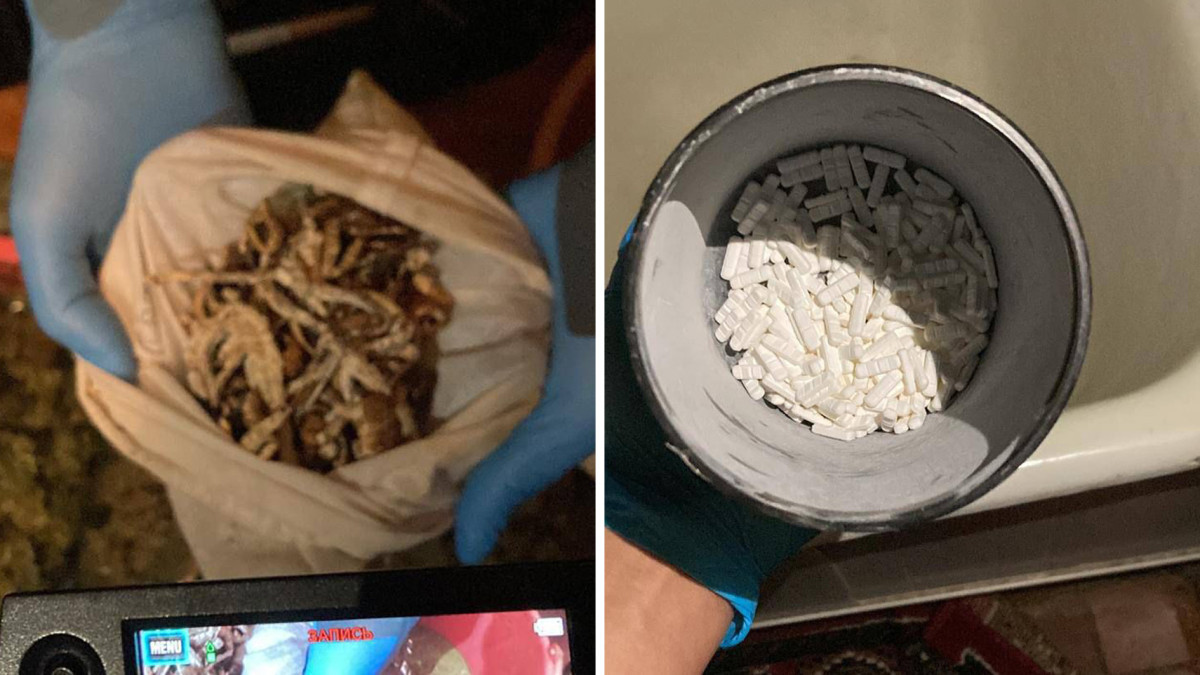 Ксанакс, галлюциногенные грибы и марихуану обнаружили дома у 21-летнего костанайца