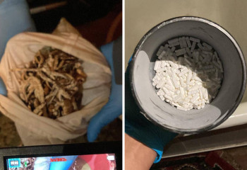 Ксанакс, галлюциногенные грибы и марихуану обнаружили дома у 21-летнего костанайца