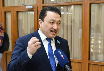 Депутат айта береді, үкімет өз дегенін істей береді - Аманжол Әлтай