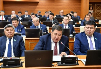 Халықты алдарқататын ертегі, қиял-ғажайып айтуды доғарыңдар. Депутат Үкіметке ескерту жасады