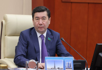 Тырнақшаның ішіндегі тамаша цифрлардың артында не тұр? Ерлан Қошанов Үкімет жұмысын сынады