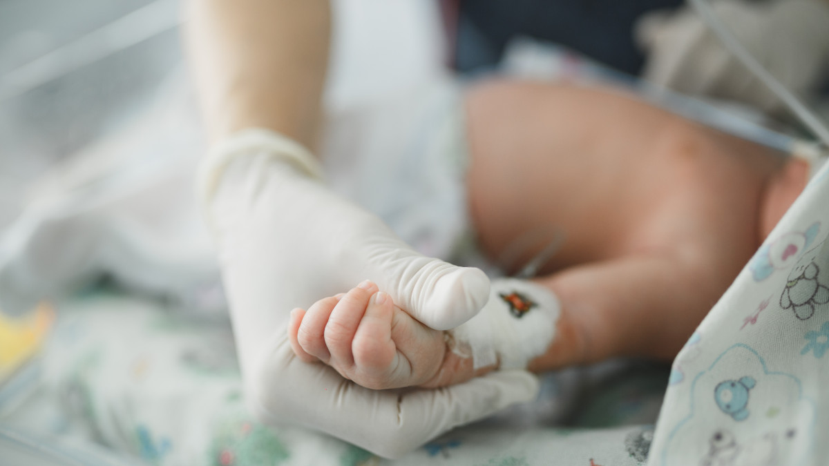  ©El.kz/Марат АМИРОВ 