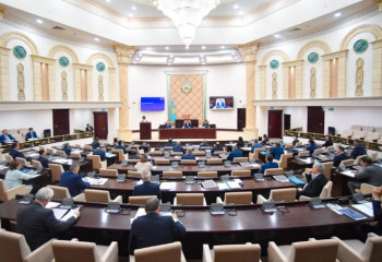 Сенатта ТМД-дағы жалған тауар белгілерін пайдалану туралы заң қаралып жатыр