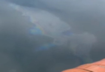 Нефтесодержащее пятно обнаружили в Бухтарминском водохранилище