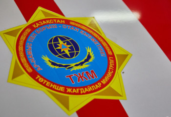 Семей орманындағы өртке Төтенше жағдайлар министрі араласты