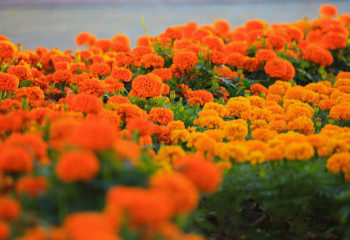 Прогноз погоды на 9 июня