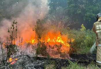 Абай облысындағы өртті сөндіруге 300 адам жұмылдырылды