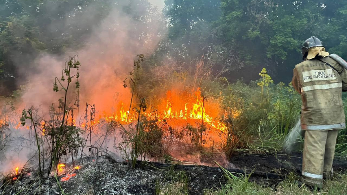 Жители трёх сёл эвакуировались из-за лесных пожаров в Абайской области