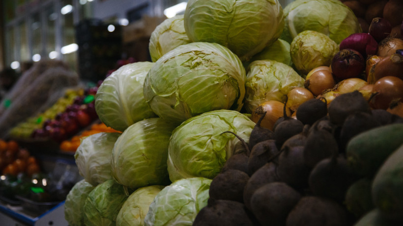  ©El.kz/Жалғасбек ТОҚТАМЫСОВ 