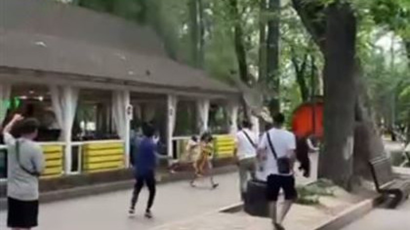  Скриншот видео 