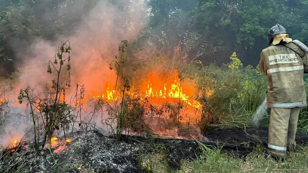 30 тысяч гектаров леса горит в области Абай: потушить мешает погода и песчаные барханы