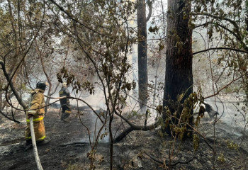 Абай облысында өрттен үш адам қаза тапты