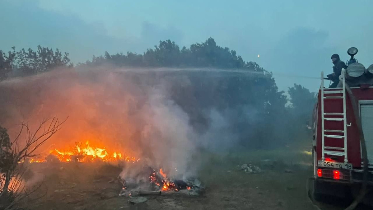 Режим ЧС введен в Семее из-за лесного пожара