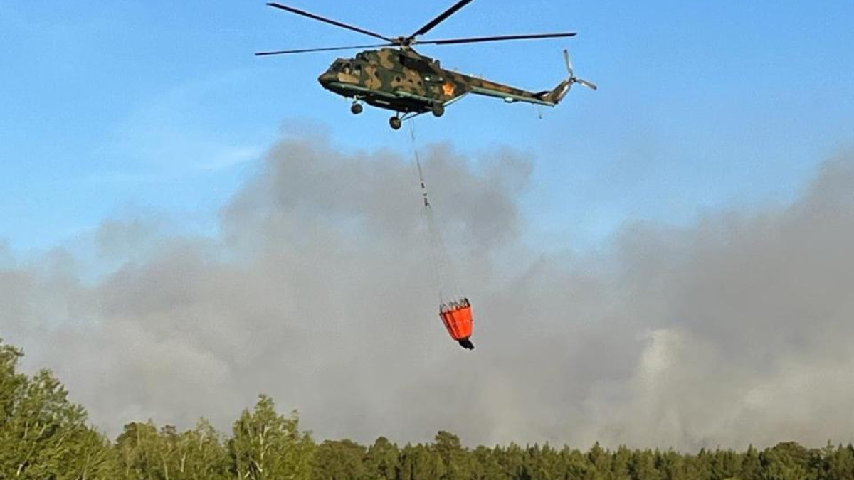 Военнослужащие Министерства обороны задействованы в тушении пожара в Абайской области