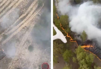 Угрозы Шульбинской ГЭС от лесных пожаров нет – ДЧС