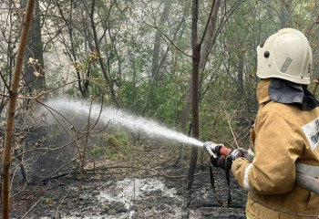 Тоқаев Үкіметке Абай облысындағы өртті сөндіруге қолда бар техниканы жұмылдыруды тапсырды