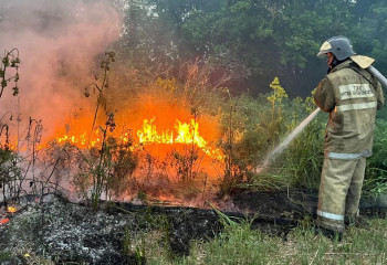 Абай облысының аумағындағы орман өрттерінің жағдайы тұрақталып келеді