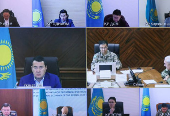 Үкімет басшысы Абай облысындағы өртті сөндіру жұмыстарын талқылады