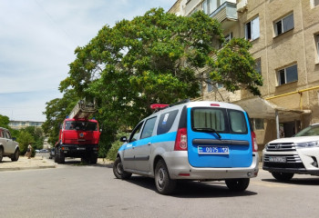 Маленький мальчик выпал из окна пятиэтажки в Актау