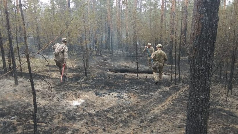  © Пресс-служба акимата области Абай 