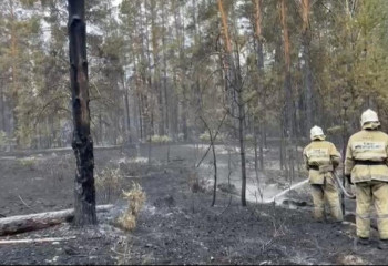 Өрттен қайтыс болған үш адамды анықтау мүмкін болмай жатыр - ТЖМ
