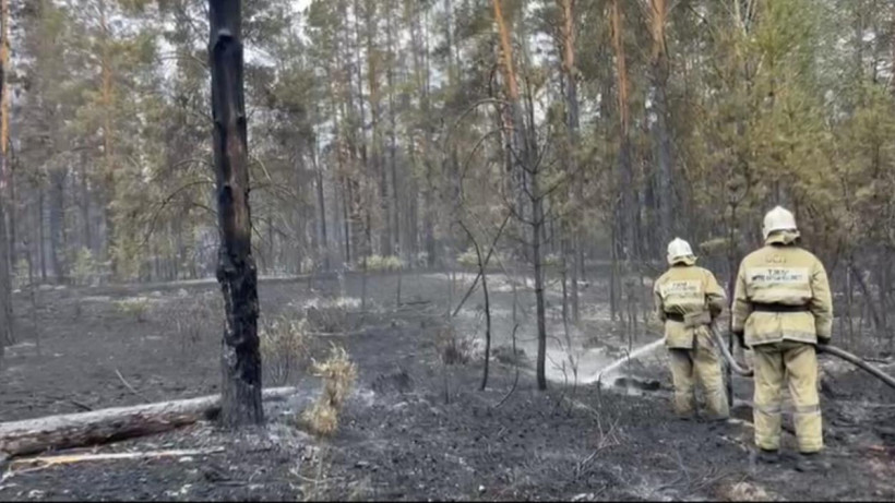  ТЖД-нің баспасөз қызметі 