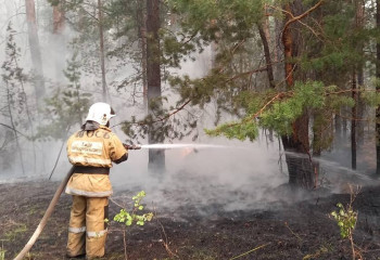 Абай облысындағы өрт: жедел желіге 52 қоңырау түсті