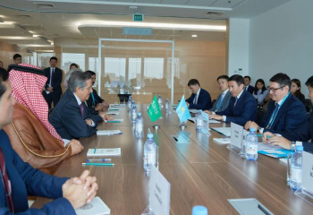 Ветряную электростанцию мощностью 1 ГВт построят в Жетысуской области